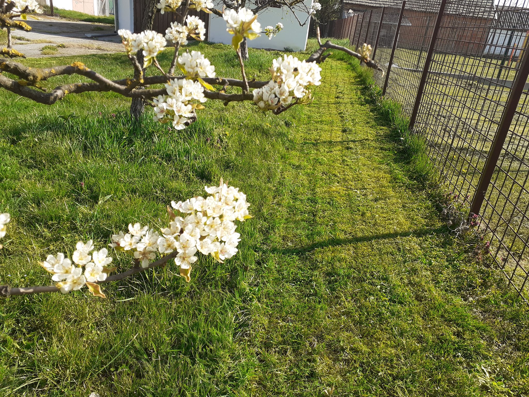 171435687_299673028225245_6263644817762397961_n